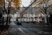 头条行业报道：探花精选，头条行业报道_探花精选是真的吗