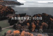 头条媒体解读：91在线