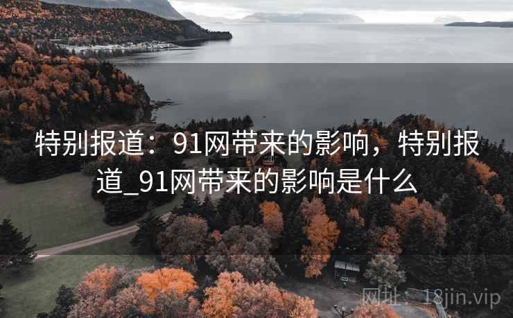 特别报道：91网带来的影响，特别报道_91网带来的影响是什么