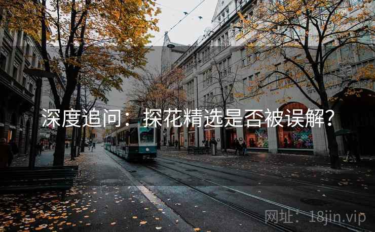 深度追问:探花精选是否被误解? 深度追问:探花精选是否被误解?